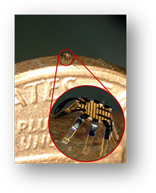 Submillimeter Walking Robot